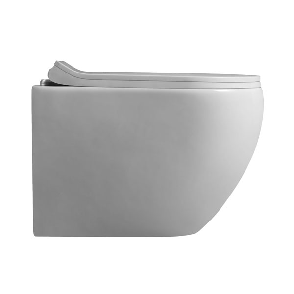 Abagno Wall Hung Water Closet (Back Inlet) MOLISE WH