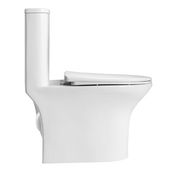Abagno One Piece Washdown Water Closet TORCELLO FX