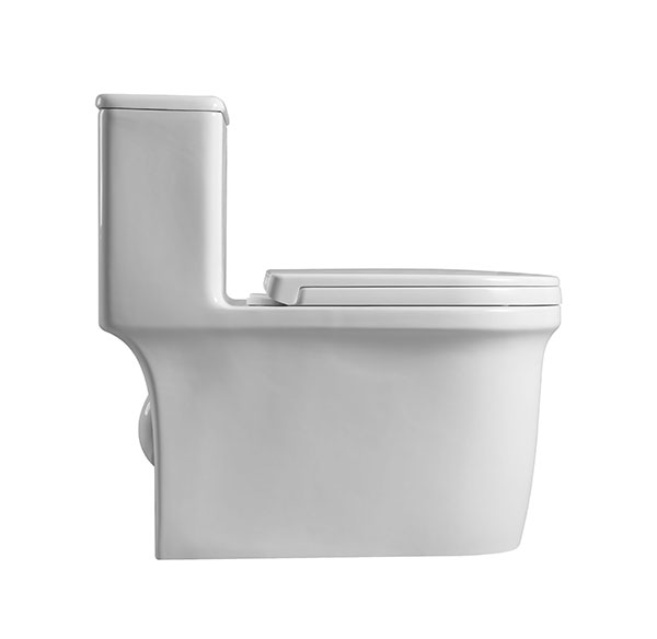 Abagno One Piece Siphonic Water Closet TRENTINO