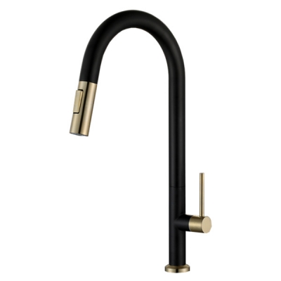 Abagno Kitchen Sink Tap With Pull-out & Double Spray LKT-028P-BG